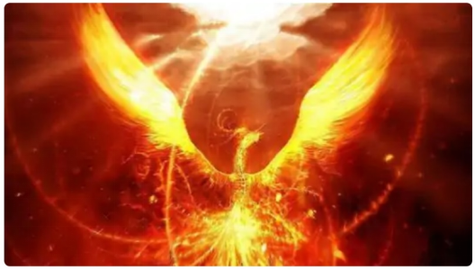 1674982723551234.jpg 1674957839860.jpg